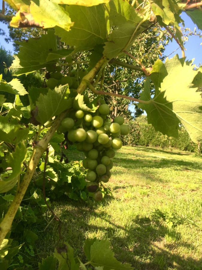 Le Clos Du Carpe Diem Cambligneul Eksteriør bilde